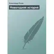 Постер книги Новогодняя история