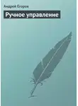Андрей Егоров - Ручное управление