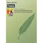 Постер книги Галка