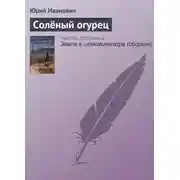Постер книги Солёный огурец