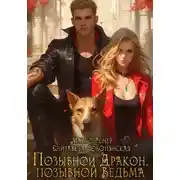 Постер книги Позывной «Дракон», позывной «Ведьма»