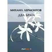 Постер книги Два брата