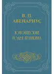  Василий Авенариус - Юношеские годы Пушкина