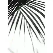 Постер книги im - LL book 1b 04