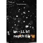 Постер книги im - LL b1 nepch 02