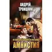 Постер книги Амнистия