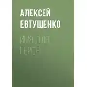 Постер книги Имя для героя