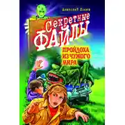Постер книги Пройдоха из чужого мира