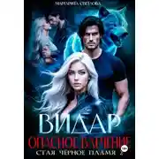 Постер книги Видар. Опасное влечение