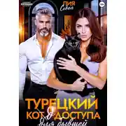 Постер книги Турецкий код доступа для бывшей