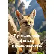 Постер книги Путешествие фенька продолжается.