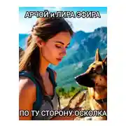 Постер книги По ту сторону осколка