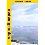Постер книги Черный ворон