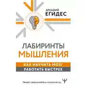 Постер книги Лабиринты мышления. Как научить мозг работать быстрее