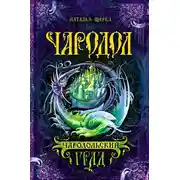Постер книги Чародол. Чародольский град