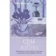 Постер книги Сны из детства. Шелковая книга о счастье-бабочке, теплом доме и волшебном мостике, ведущем к гармонии