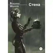 Постер книги Стена