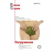 Постер книги Погружение