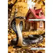 Постер книги Кобра Бра и теремок