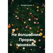 Постер книги Не волшебник. Пророк поневоле.
