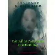Постер книги Санай и Сарацин. Изюминка