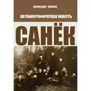 Постер книги Санёк