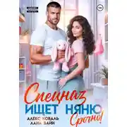 Постер книги Спецназ ищет няню. Срочно!