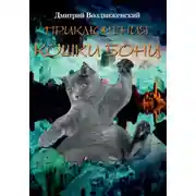 Постер книги ПРИКЛЮЧЕНИЯ КОШКИ БОНИ
