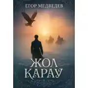 Постер книги Жол карау