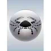 Постер книги Рак (21.06 – 22.07)