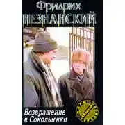 Постер книги Возвращение в Сокольники