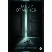 Постер книги Набор отмычек