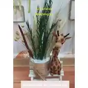 Постер книги Композиции из сухоцветов