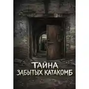 Постер книги Тайна забытых катакомб