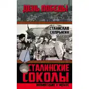 Постер книги Сталинские соколы. Возмездие с небес