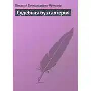 Постер книги Судебная бухгалтерия