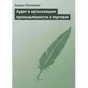 Постер книги Аудит в организациях промышленности и торговли