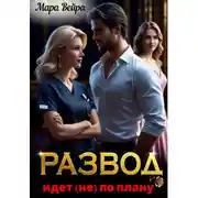 Постер книги Развод идет (не) по плану