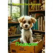 Постер книги Подарок