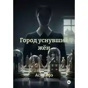 Постер книги Город уснувших жён