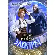Постер книги Небо и грозы Электрет