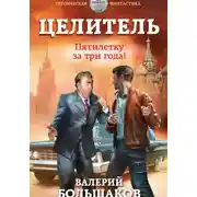 Постер книги Целитель. Пятилетку в три года!