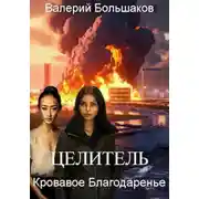 Постер книги Целитель. Кровавое Благодаренье