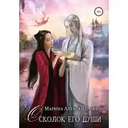 Постер книги Осколок его души