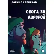 Постер книги Охота за авророй
