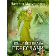 Постер книги Побег без права пересдачи
