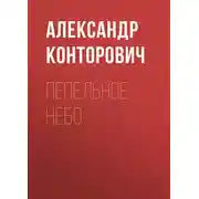 Постер книги Пепельное небо