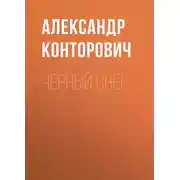 Постер книги Черный снег