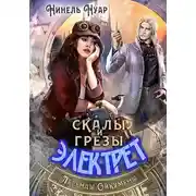 Постер книги Скалы и грезы Электрет