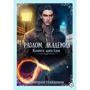 Постер книги Разлом. Академия. Книга шестая